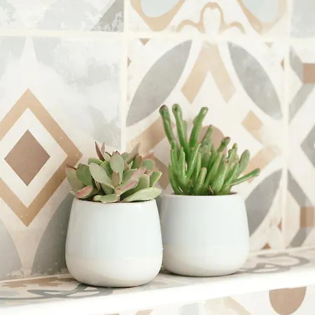 Tabbihome - Costa Dei Trabocchi